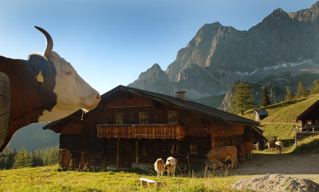 Haus Bergzauber Ramsau am Dachstein Exterior foto